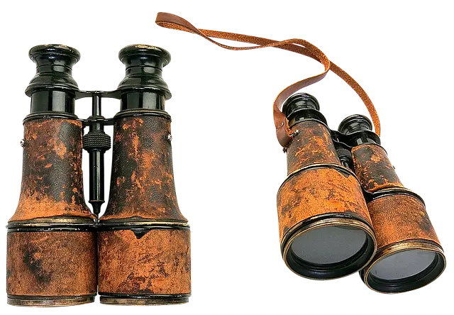 binoculars-field-military-2601071767798256..webp