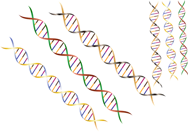 dna-dnastrand-dnahelix-2601081767890339..webp