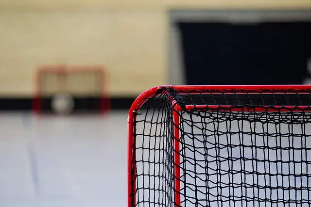 hockey-goal-net-2601061767699339..webp