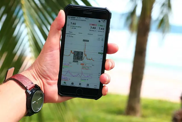 stockmarket-investment-gains-2601071767799296..webp stockmarket-investment-gains-2601071767799296..webp